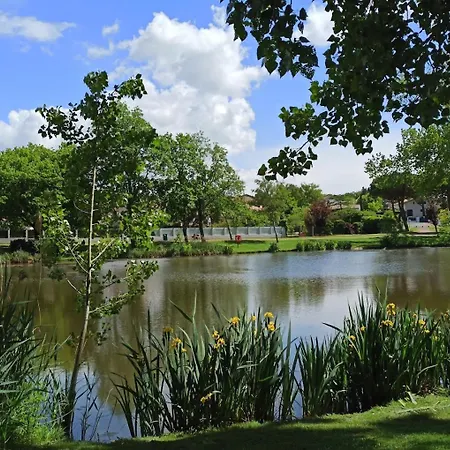 Apartamento La Vague De Pontaillac 55m2